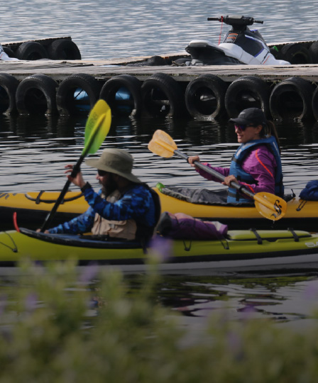 kayak-50